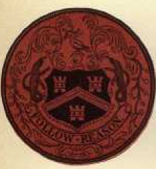 Seal2_1871.jpg